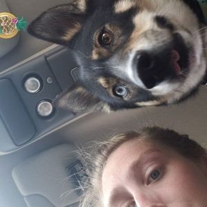 Meet your Posher, Sierra